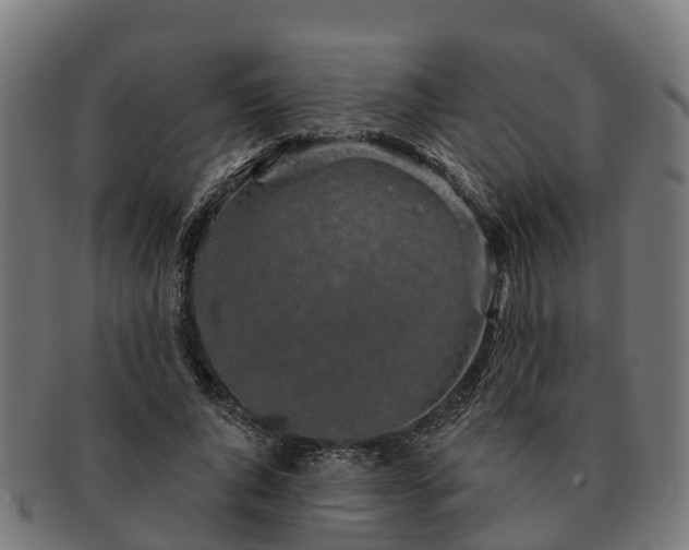 X0000091330736200708241200