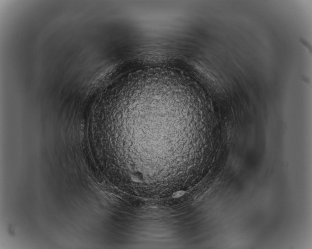 X0000091330737200708241200