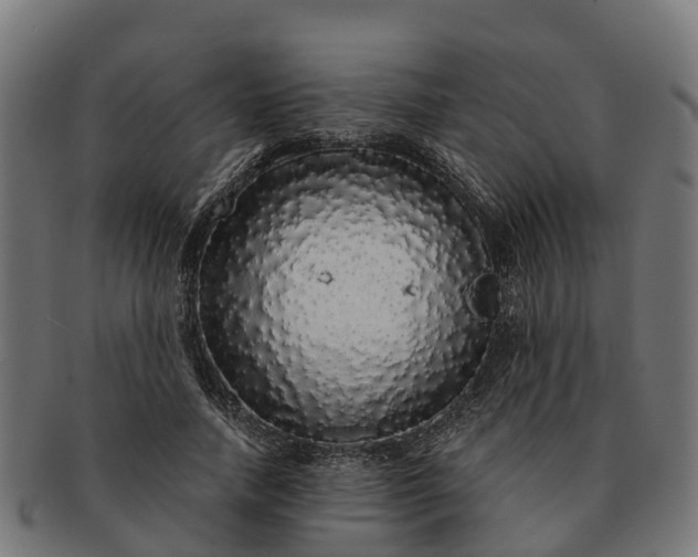 X0000091330738200708241200