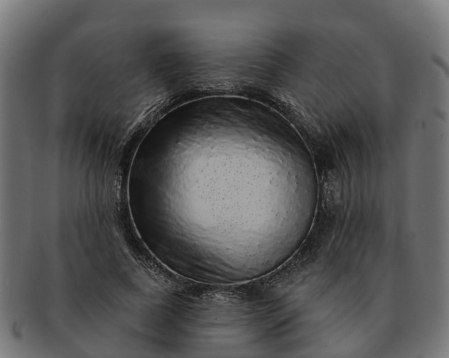 X0000091330739200708241200