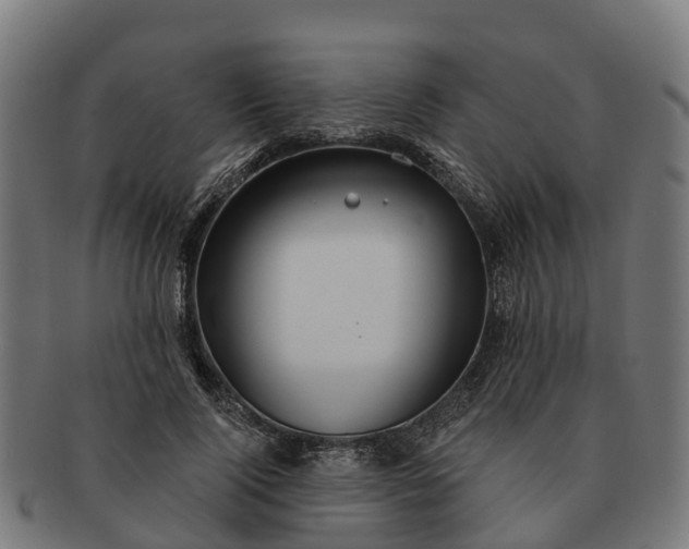 X0000091330740200708241200