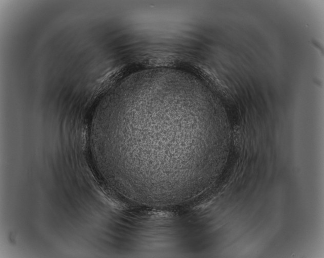 X0000091330741200708241200