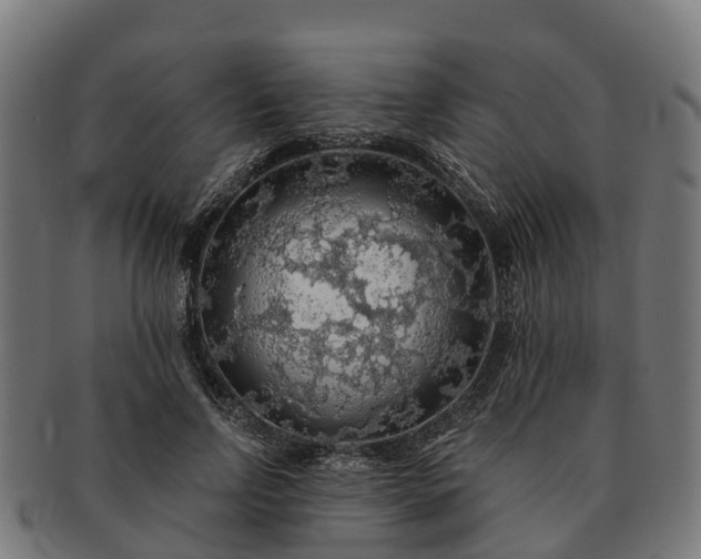 X0000091330742200708241200