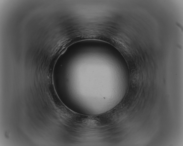 X0000091330743200708241200