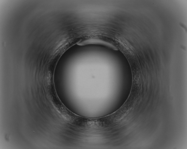 X0000091330744200708241200