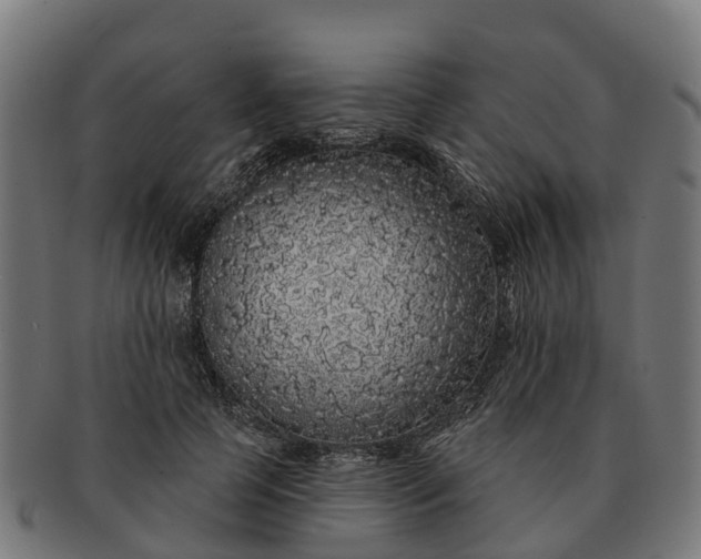 X0000091330745200708241200