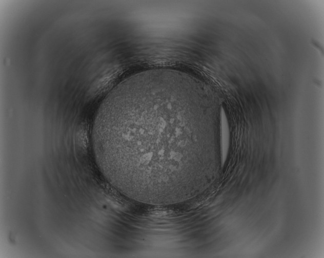 X0000091330746200708241200