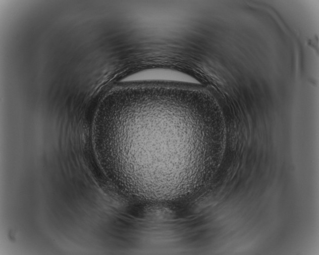 X0000091330747200708241200