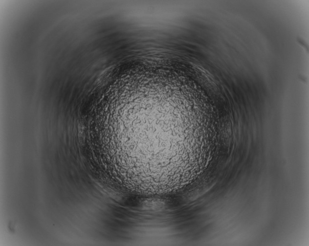 X0000091330749200708241200