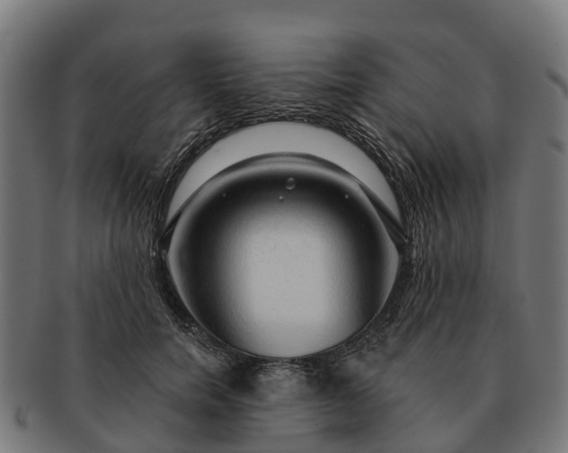 X0000091330750200708241200