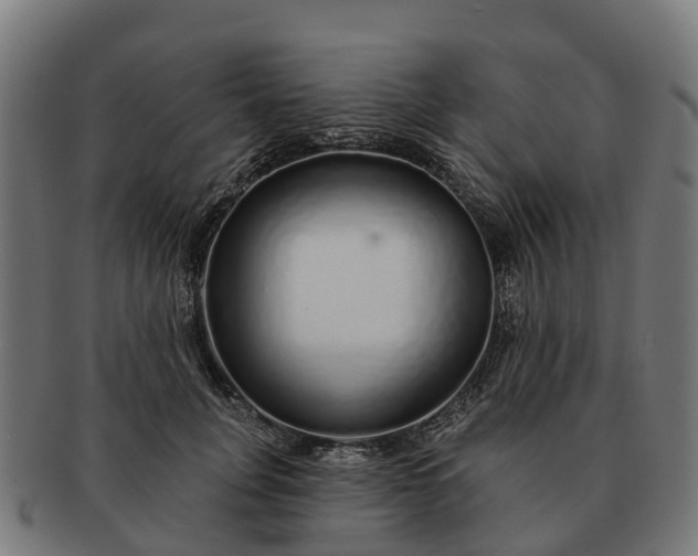 X0000091330751200708241200