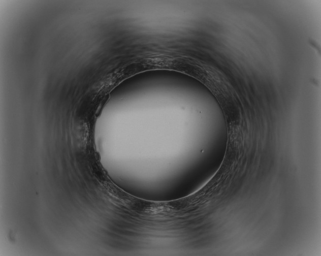 X0000091330752200708241200