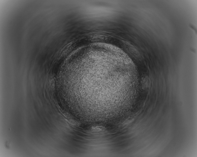 X0000091330753200708241200