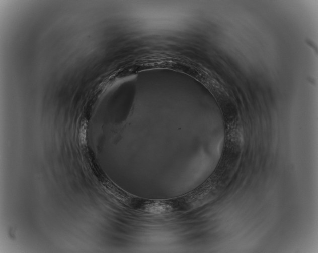 X0000091330754200708241200