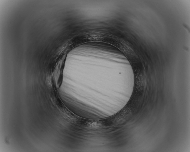 X0000091330755200708241200