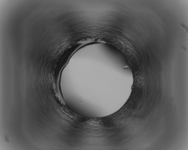 X0000091330756200708241200