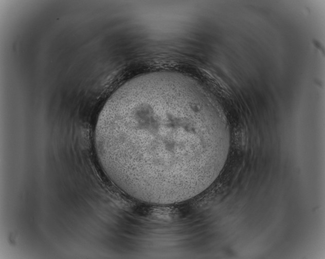 X0000091330757200708241200