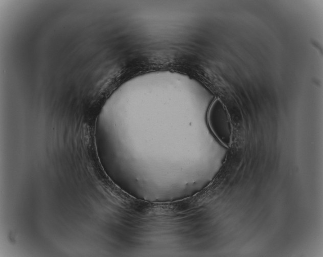 X0000091330758200708241200