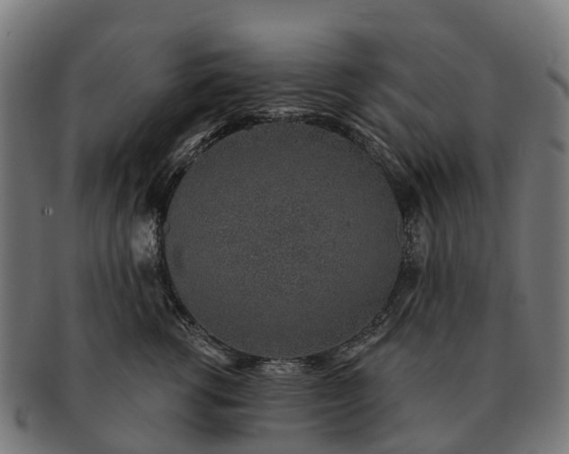 X0000091330762200708241200