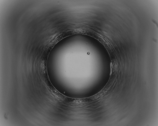 X0000091330764200708241200