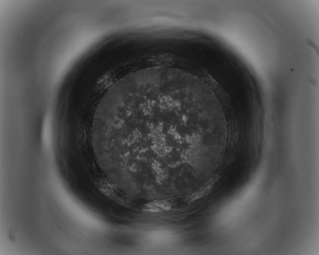 X0000091330765200708241200