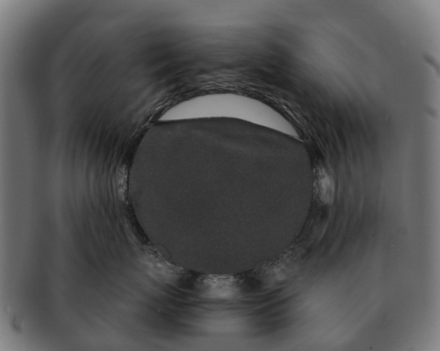 X0000091330767200708241200