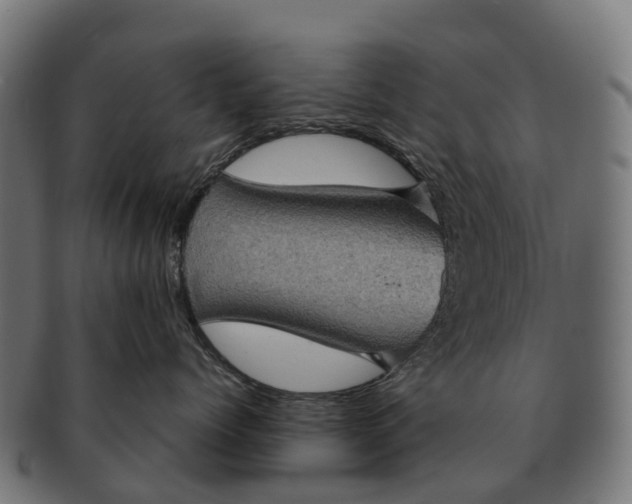 X0000091330768200708241200