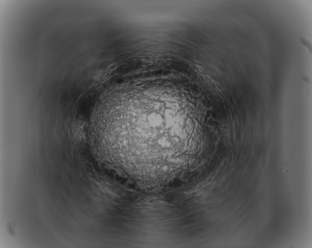 X0000091330770200708241159