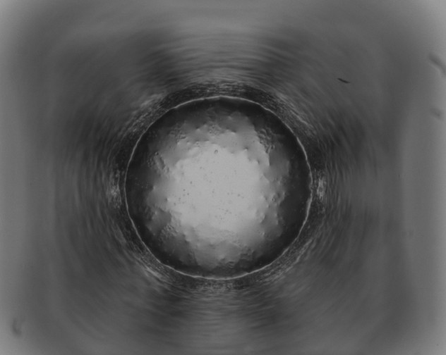 X0000091330771200708241159