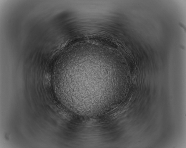 X0000091330772200708241159