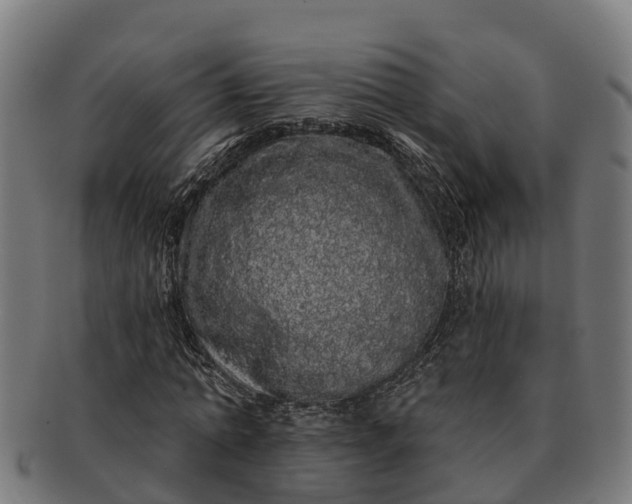 X0000091330774200708241159