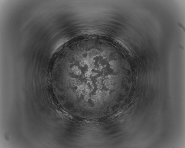 X0000091330775200708241159