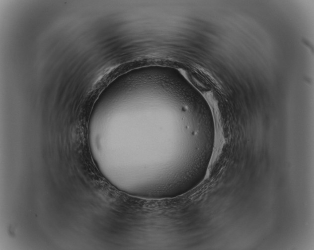 X0000091330776200708241159