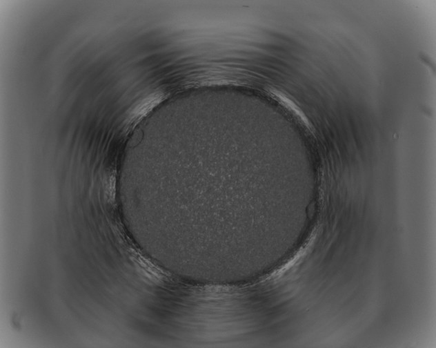 X0000091330777200708241159