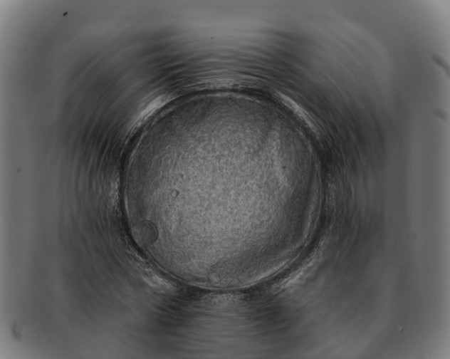 X0000091330778200708241159