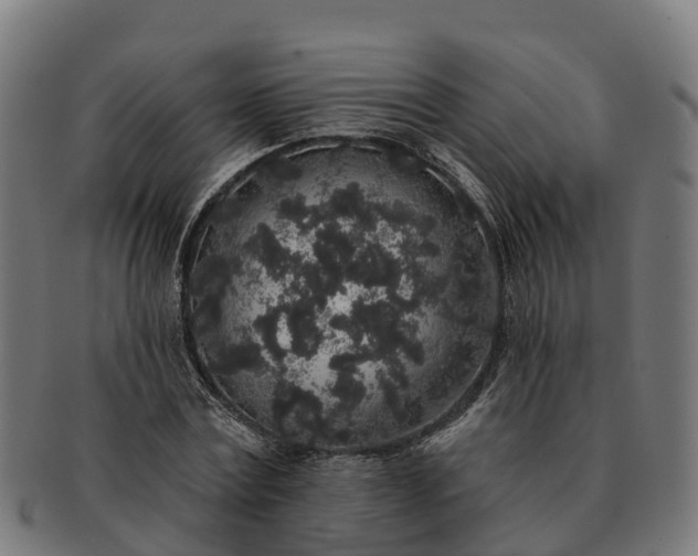 X0000091330779200708241159