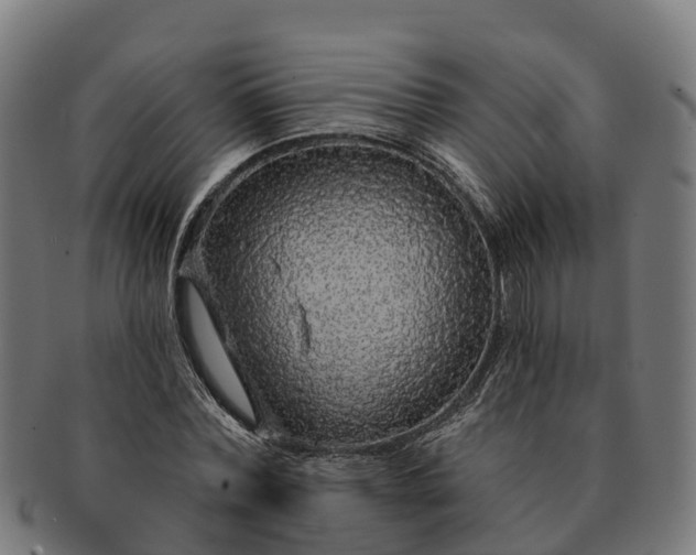 X0000091330780200708241159