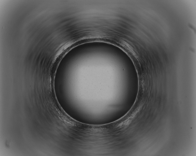 X0000091330781200708241159