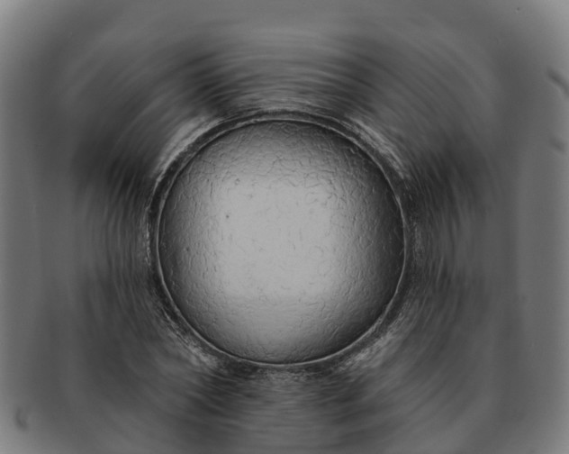 X0000091330782200708241159