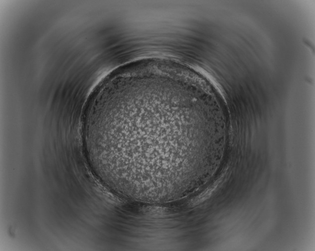 X0000091330783200708241159