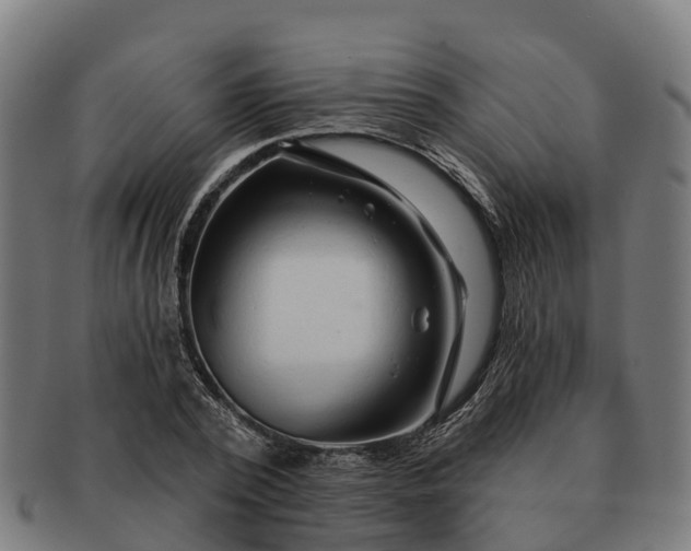 X0000091330784200708241159