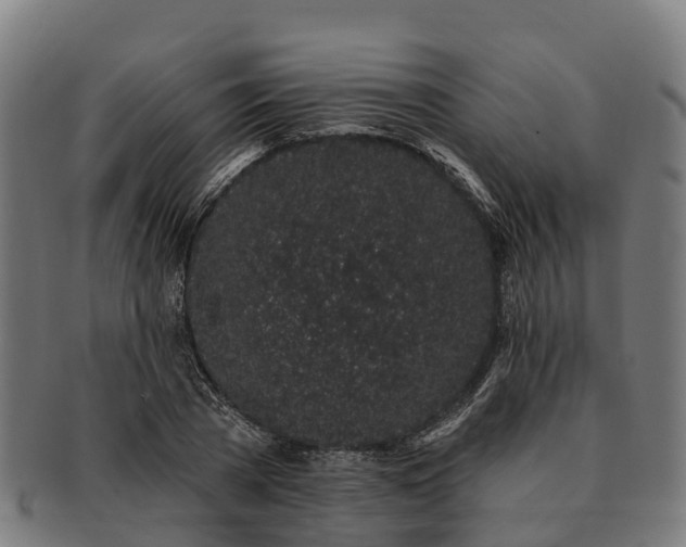 X0000091330785200708241159