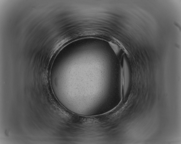 X0000091330786200708241159