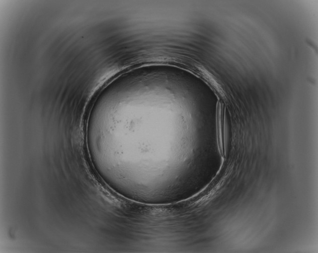 X0000091330787200708241159