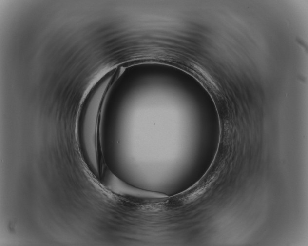 X0000091330788200708241159