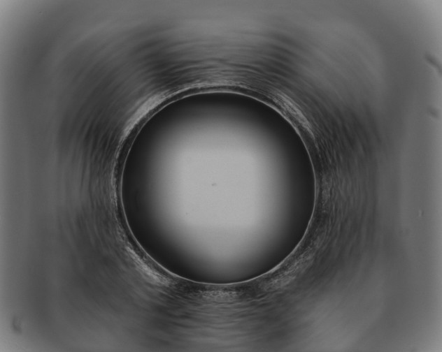 X0000091330789200708241159