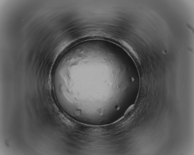 X0000091330791200708241159