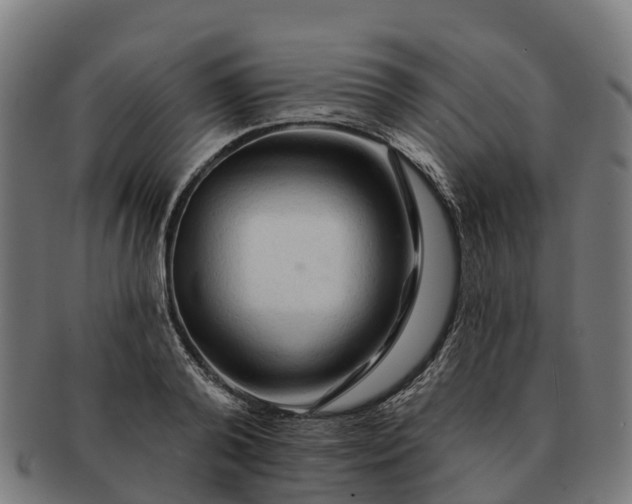 X0000091330792200708241159