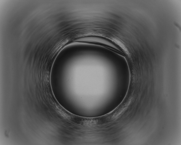 X0000091330793200708241159