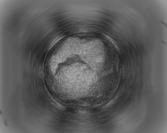 X0000091330794200708241159